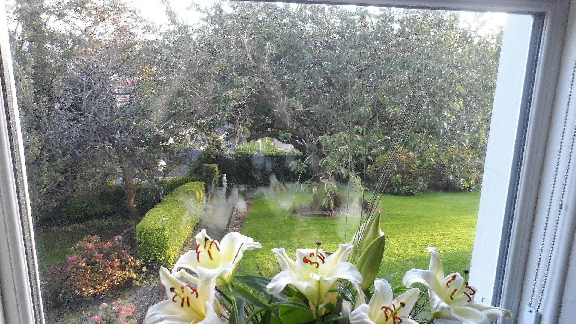 Bed & Breakfast Gabriel House Guesthouse Cork
