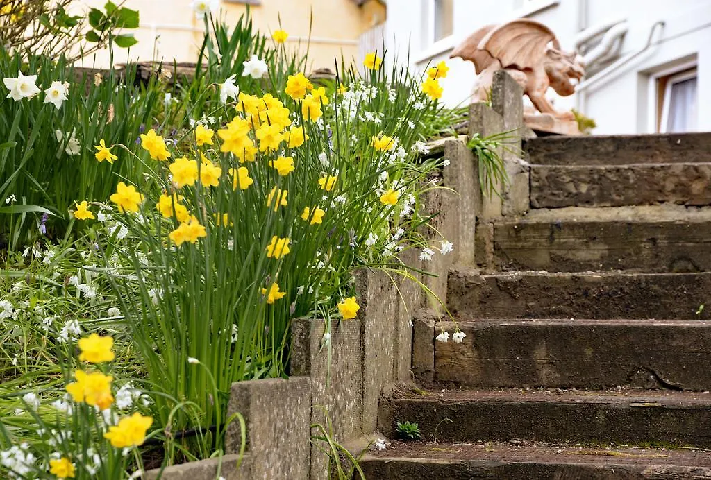 Gabriel House Guesthouse Cork